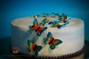 Butterfly Circus –  ręcznie malowane motyle, borówki i biała czekolada 1,3 kg.